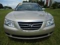 Camel Pearl - Sonata GLS Photo No. 22