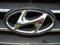Camel Pearl - Sonata GLS Photo No. 23