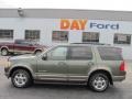 2002 Estate Green Metallic Ford Explorer Eddie Bauer 4x4  photo #2