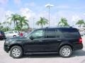 2010 Tuxedo Black Ford Expedition Limited  photo #11