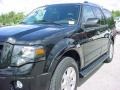 2010 Tuxedo Black Ford Expedition Limited  photo #14