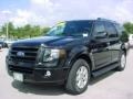 2010 Tuxedo Black Ford Expedition Limited  photo #15