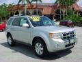 2009 Brilliant Silver Metallic Ford Escape Limited V6  photo #1