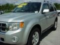 2009 Brilliant Silver Metallic Ford Escape Limited V6  photo #13