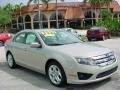 2010 Smokestone Metallic Ford Fusion SE  photo #1