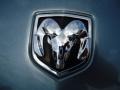 Silver Steel Metallic - Charger R/T Photo No. 24