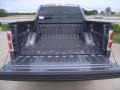 2010 Sterling Grey Metallic Ford F150 XLT SuperCrew 4x4  photo #7
