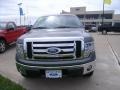 2010 Sterling Grey Metallic Ford F150 XLT SuperCrew 4x4  photo #9