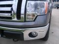 2010 Sterling Grey Metallic Ford F150 XLT SuperCrew 4x4  photo #10