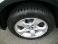 Silver Grey Metallic - X3 3.0si Photo No. 31