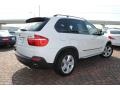 Alpine White - X5 3.0si Photo No. 5