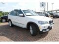 Alpine White - X5 3.0si Photo No. 7