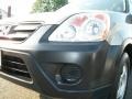 Sahara Sand Metallic - CR-V LX 4WD Photo No. 28