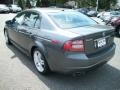 Polished Metal Metallic - TL 3.2 Photo No. 5
