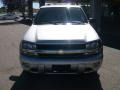 Silverstone Metallic - TrailBlazer LS 4x4 Photo No. 3