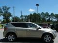 2005 Sheer Silver Metallic Nissan Murano S  photo #6