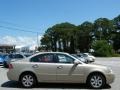 2008 Light Almond Beige Kia Optima LX  photo #6