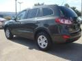 2010 Black Forest Green Metallic Hyundai Santa Fe GLS  photo #4