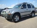 2003 Silver Ice Metallic Nissan Xterra SE V6 4x4  photo #2