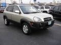 Sahara Silver - Tucson GLS V6 4x4 Photo No. 2
