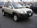 2006 Sahara Silver Hyundai Tucson GLS V6 4x4  photo #2