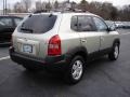 Sahara Silver - Tucson GLS V6 4x4 Photo No. 4