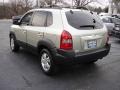 Sahara Silver - Tucson GLS V6 4x4 Photo No. 5