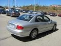 2004 Brilliant Silver Hyundai Sonata V6  photo #8