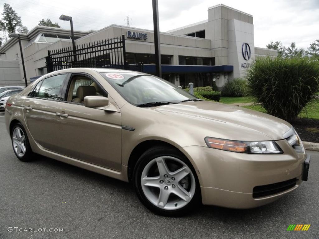 Desert Mist Metallic Acura TL