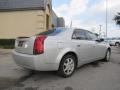 Light Platinum - CTS Sedan Photo No. 6