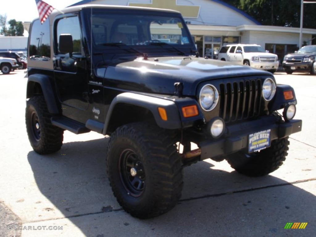 2002 Wrangler Sport 4x4 - Black / Camel Beige photo #3