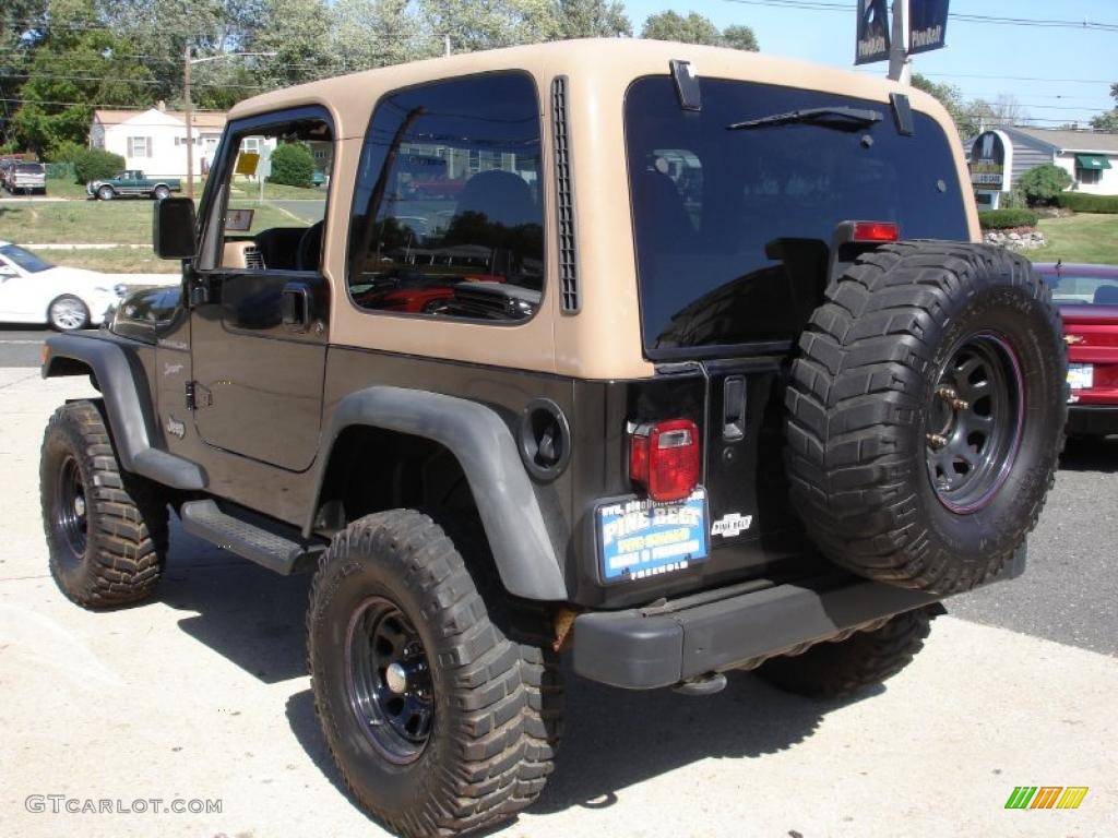 2002 Wrangler Sport 4x4 - Black / Camel Beige photo #6