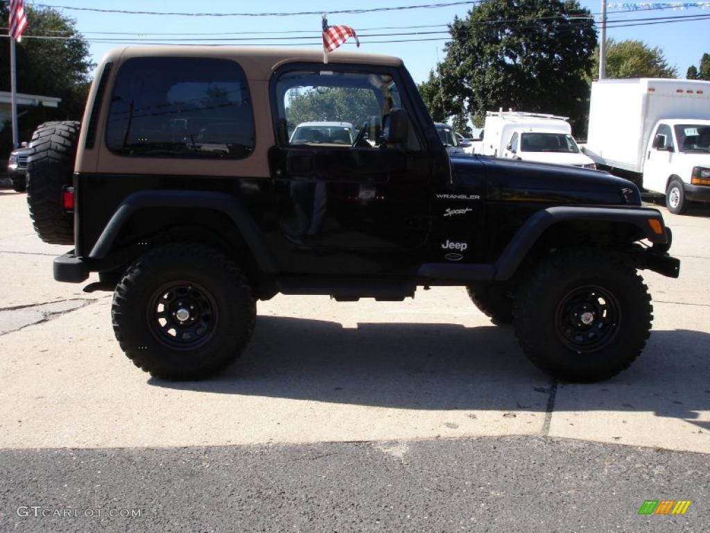 2002 Wrangler Sport 4x4 - Black / Camel Beige photo #7