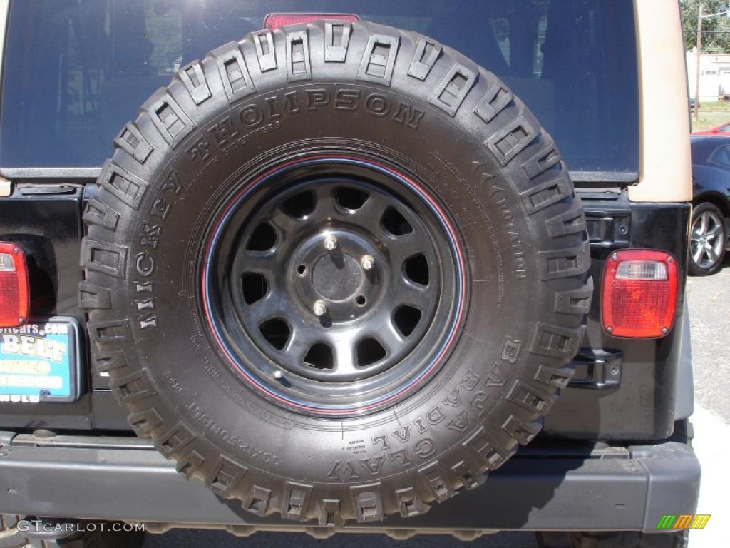 2002 Wrangler Sport 4x4 - Black / Camel Beige photo #8