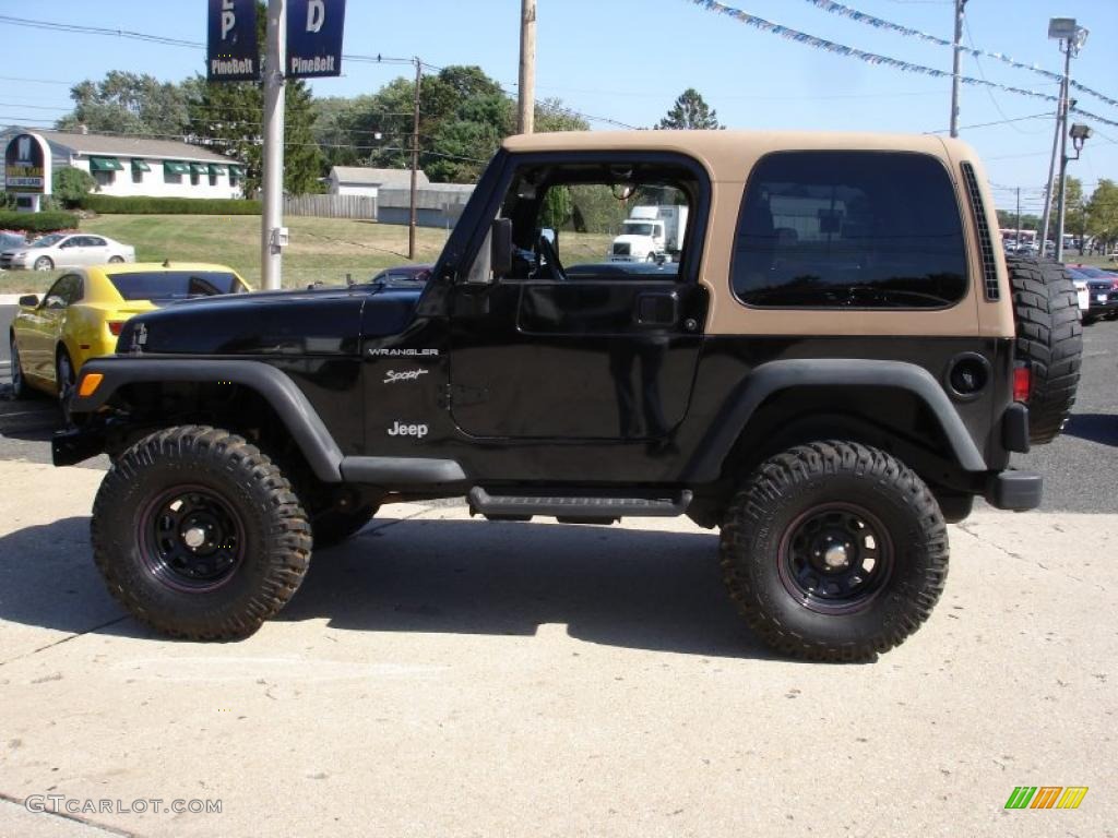 2002 Wrangler Sport 4x4 - Black / Camel Beige photo #9