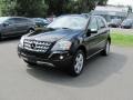 Black - ML 350 4Matic Photo No. 2