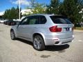 Titanium Silver Metallic - X5 xDrive 35i Photo No. 3