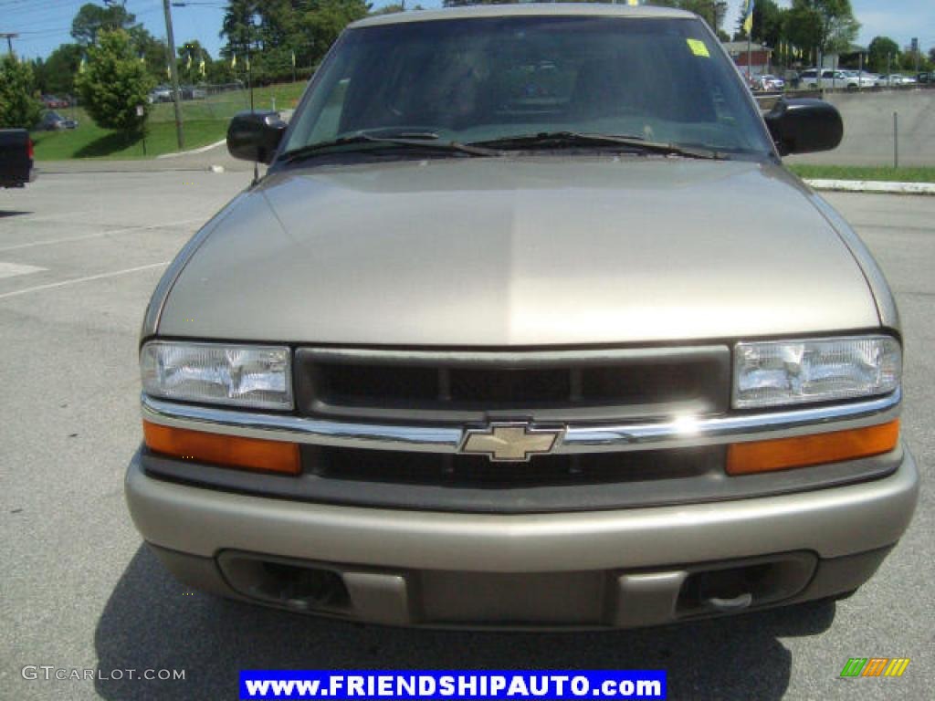 2000 S10 LS Regular Cab 4x4 - Sunset Gold Metallic / Graphite photo #7