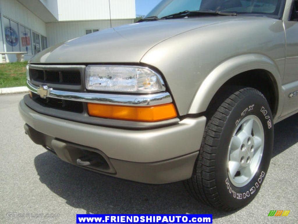 2000 S10 LS Regular Cab 4x4 - Sunset Gold Metallic / Graphite photo #8