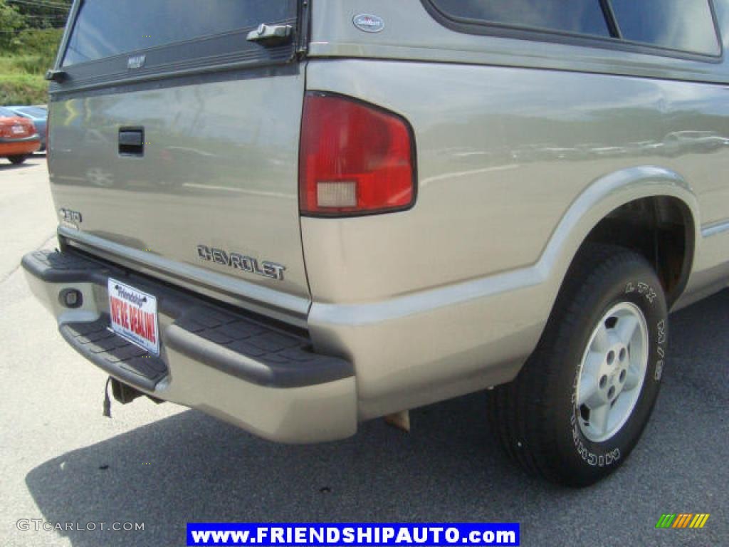 2000 S10 LS Regular Cab 4x4 - Sunset Gold Metallic / Graphite photo #11
