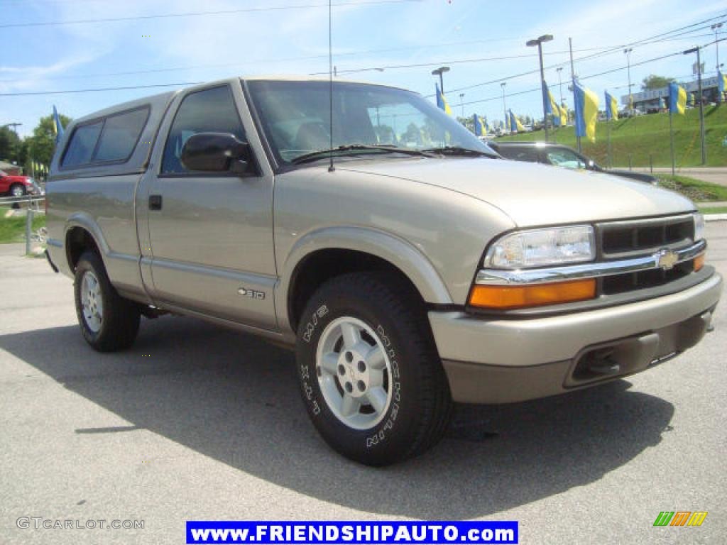 2000 S10 LS Regular Cab 4x4 - Sunset Gold Metallic / Graphite photo #14