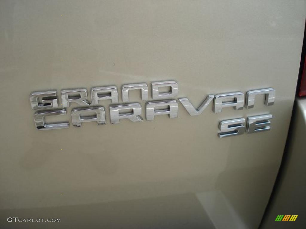 2010 Grand Caravan SE Hero - White Gold Pearl / Dark Slate Gray/Light Shale photo #17