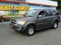 Phantom Gray Pearl - Sequoia SR5 4WD Photo No. 3
