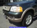 2004 Aspen Green Metallic Ford Explorer Eddie Bauer  photo #9