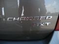 2010 Dark Titanium Metallic Dodge Charger SXT  photo #30