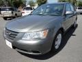 Willow Gray - Sonata GLS Photo No. 1