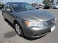 Willow Gray - Sonata GLS Photo No. 7
