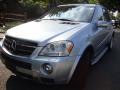 2008 Alpine Rain Metallic Mercedes-Benz ML 63 AMG 4Matic  photo #3