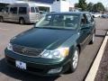 Woodland Green Pearl - Avalon XLS Photo No. 1