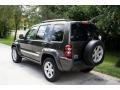 2005 Dark Khaki Pearl Jeep Liberty Limited 4x4  photo #6